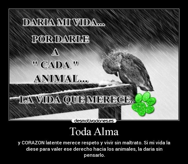 carteles alma toda alma desmotivaciones