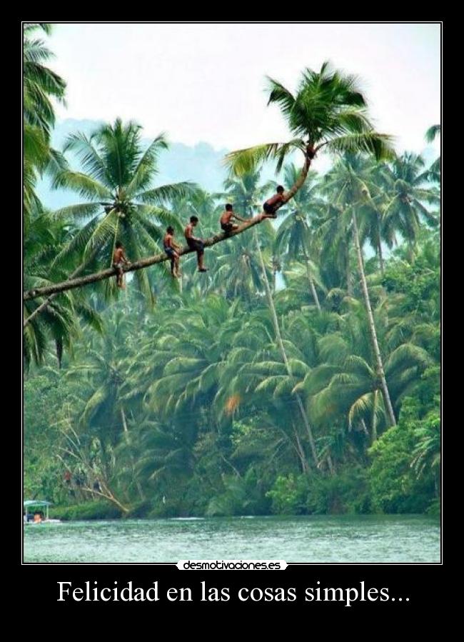 Felicidad en las cosas simples... - 