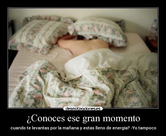 ¿Conoces ese gran momento - 