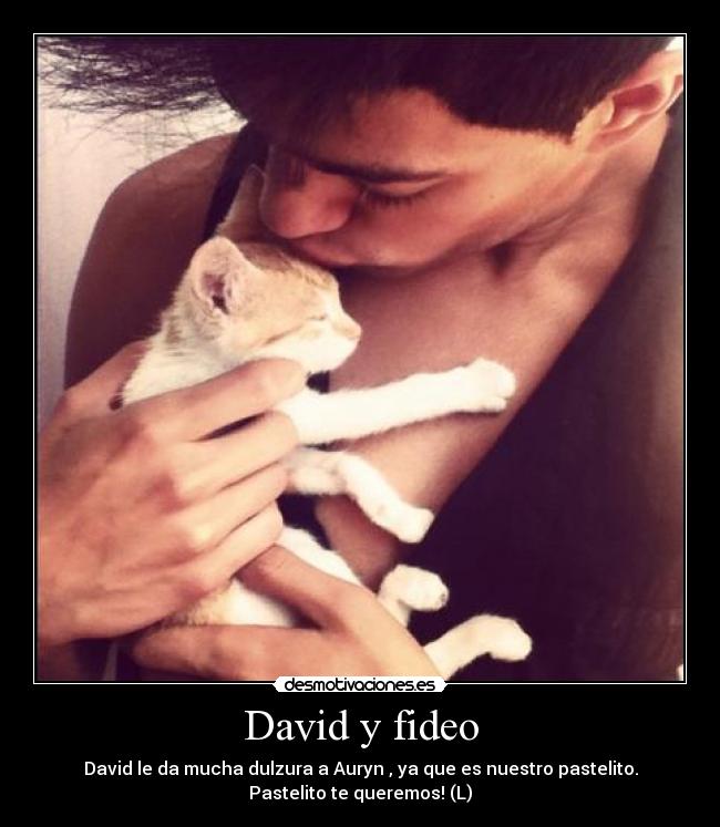 David y fideo -