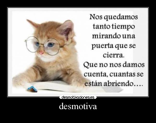 desmotiva - 