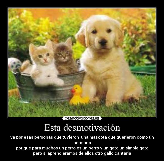 Esta desmotivación - va por esas personas que tuvieron una mascota que querieron como un hermano
por que para muchos un perro es un perro y un gato un simple gato
pero si aprendieramos de ellos otro gallo cantaria