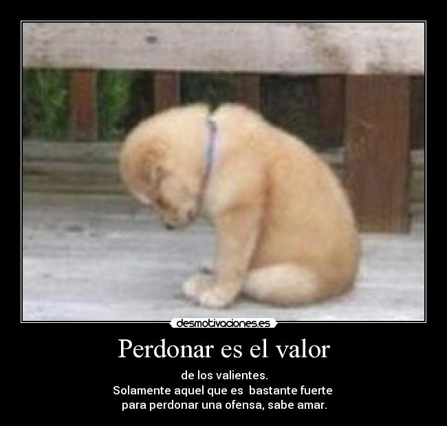 Perdonar es el valor - de los valientes.
Solamente aquel que es bastante fuerte
para perdonar una ofensa, sabe amar.