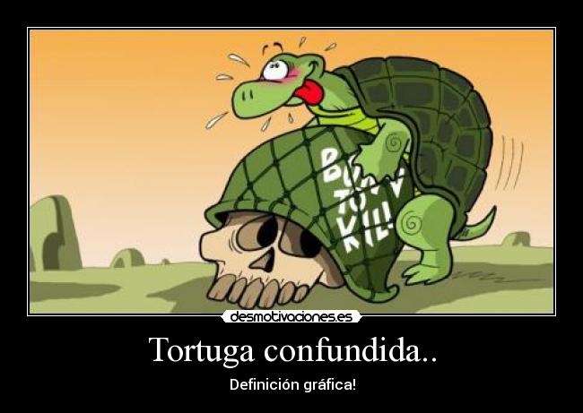 Tortuga confundida.. - 