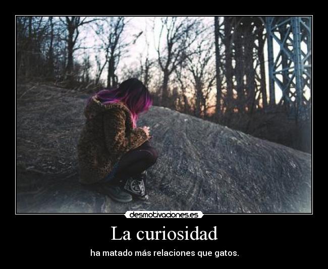 La curiosidad - 