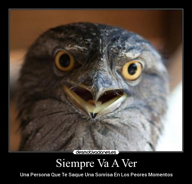 Siempre Va A Ver - Una Persona Que Te Saque Una Sonrisa En Los Peores Momentos