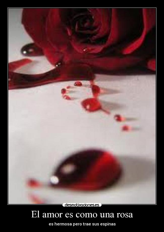 El amor es como una rosa - es hermosa pero trae sus espinas