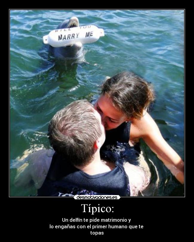 Típico: - Un delfín te pide matrimonio y
lo engañas con el primer humano que te
topas