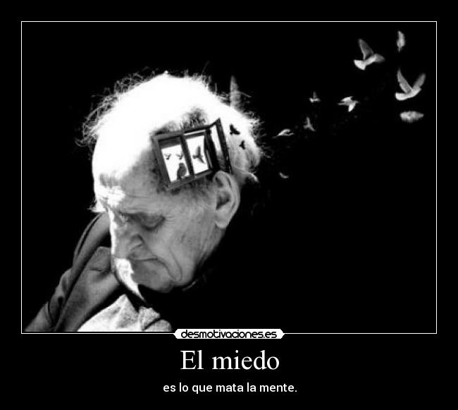 carteles miedo manelwhibley desmotivaciones