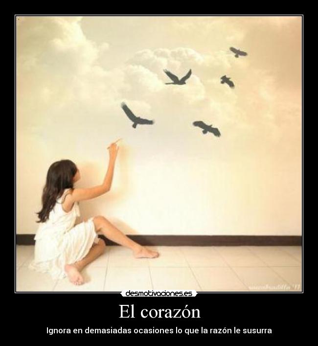 carteles corazon corazon ignora demasiadas ocasiones que razon susurra desmotivaciones