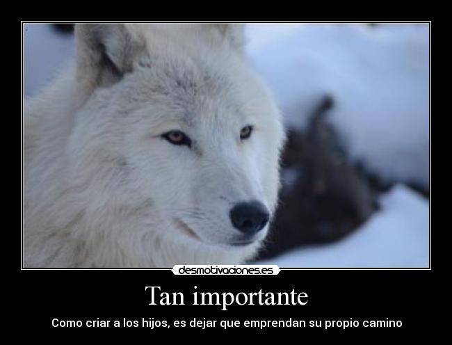 Tan importante - 