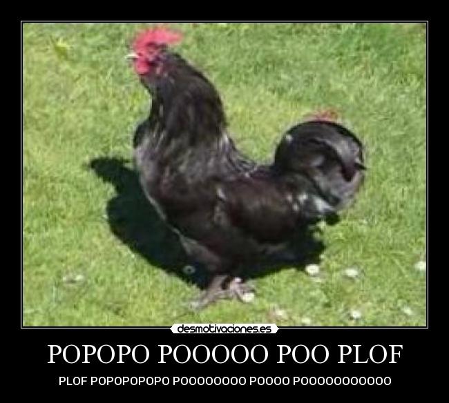 POPOPO POOOOO POO PLOF - PLOF POPOPOPOPO POOOOOOOO POOOO POOOOOOOOOOO
