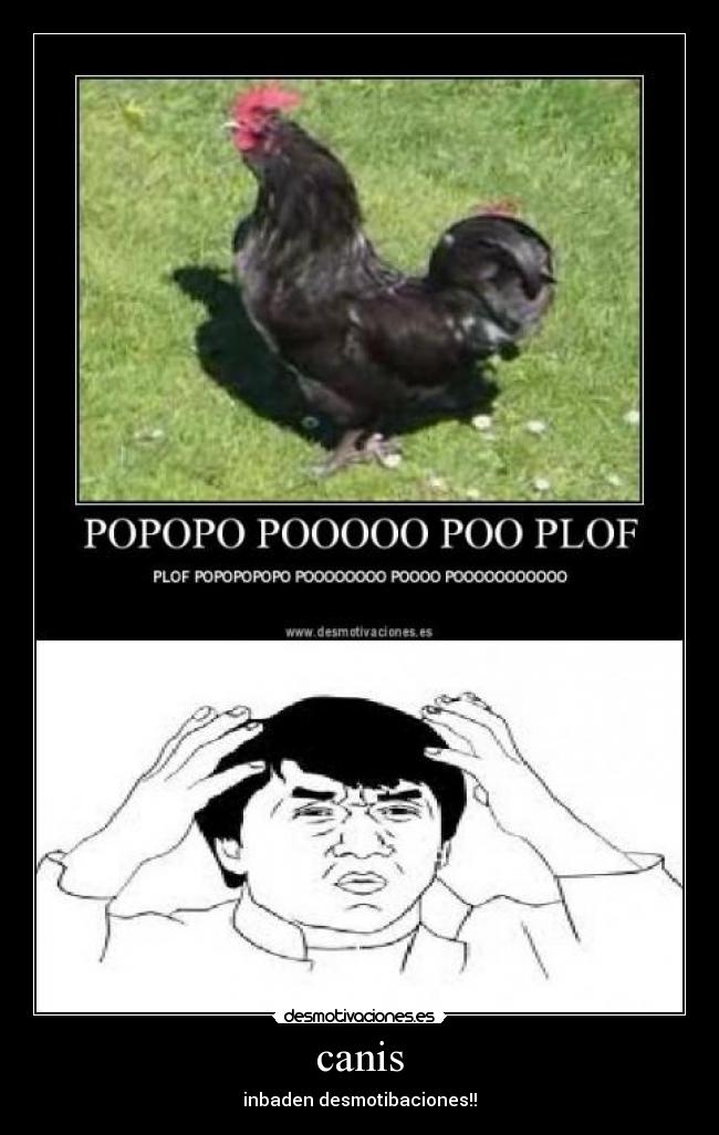 canis - inbaden desmotibaciones!!