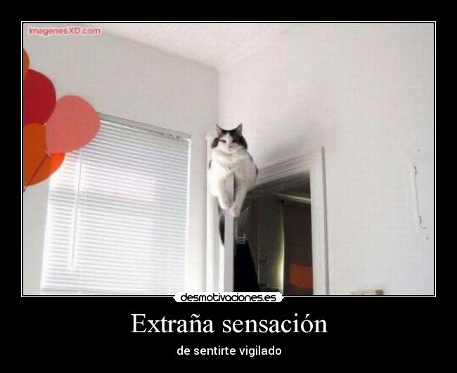 carteles arielmorales desmotivaciones