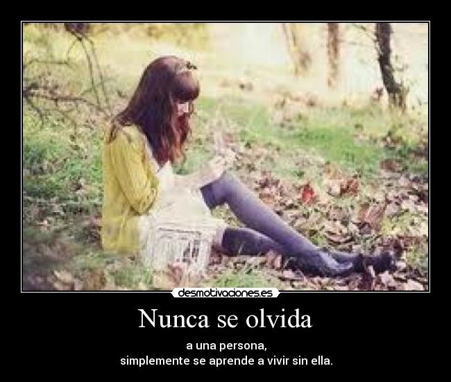 carteles nunca olvida desmotivaciones