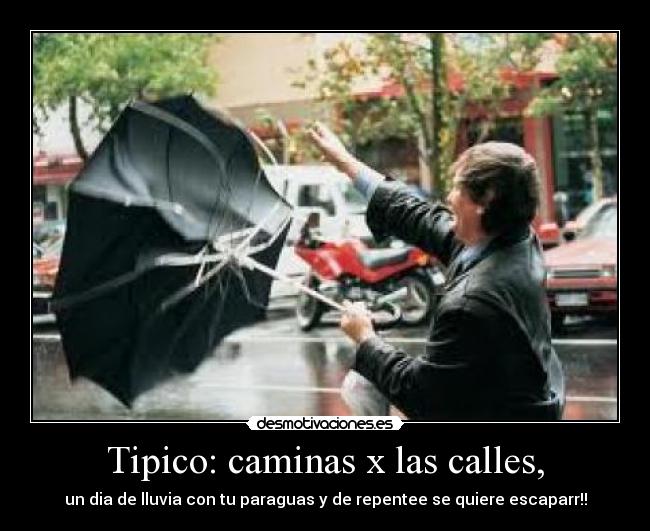 Tipico: caminas x las calles, - un dia de lluvia con tu paraguas y de repentee se quiere escaparr!!