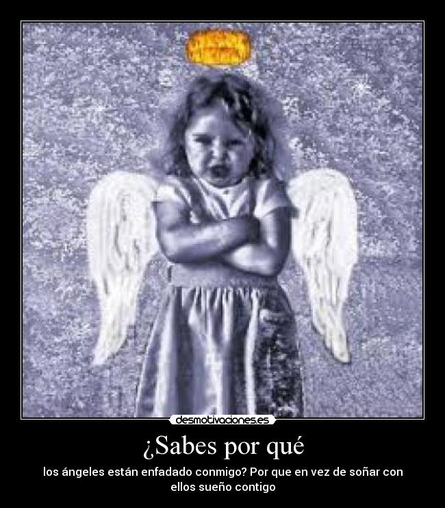 carteles estan enfadaditos desmotivaciones