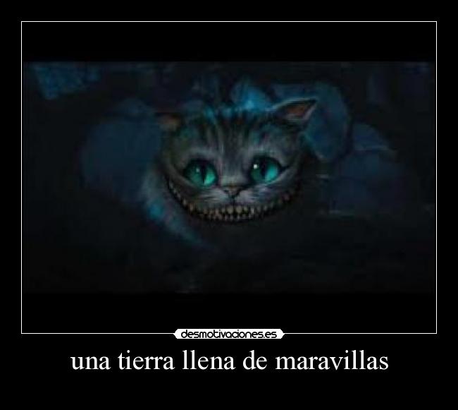 una tierra llena de maravillas -