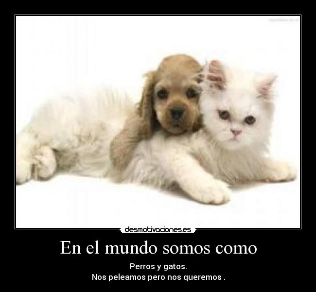 En el mundo somos como -