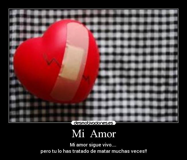 Mi Amor -