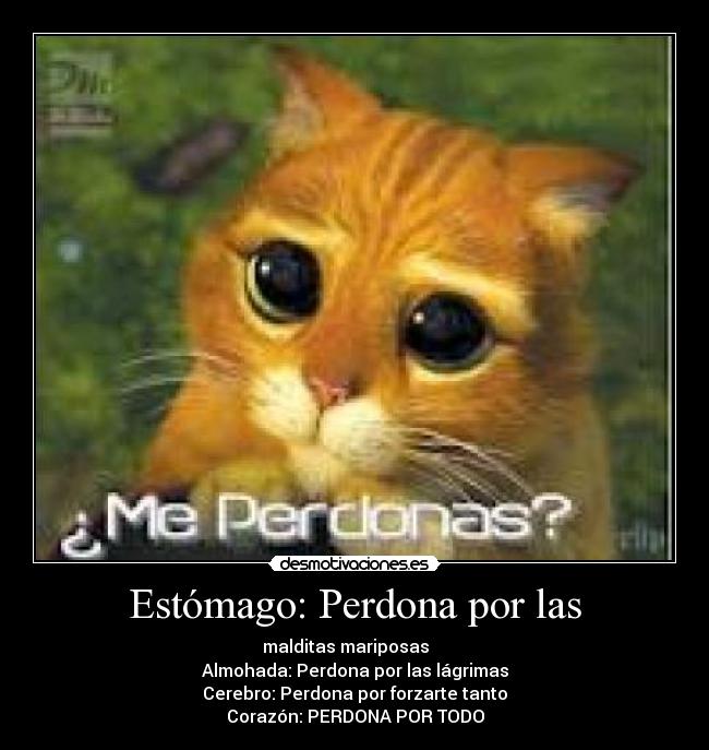 Estómago: Perdona por las - malditas mariposas    
Almohada: Perdona por las lágrimas
Cerebro: Perdona por forzarte tanto
Corazón: PERDONA POR TODO