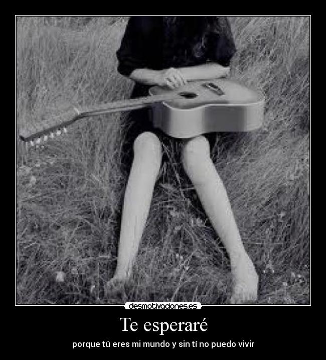 Te esperaré - 