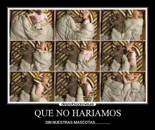 QUE NO HARIAMOS - SIN NUESTRAS MASCOTAS................
