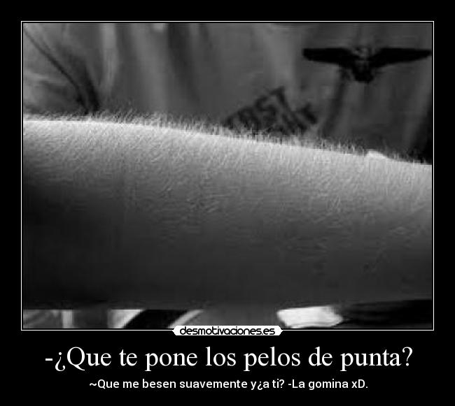 carteles pelos punta jjajjaja desmotivaciones