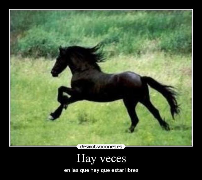 Hay veces - en las que hay que estar libres