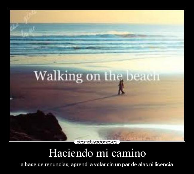 Haciendo mi camino - a base de renuncias, aprendí a volar sin un par de alas ni licencia.