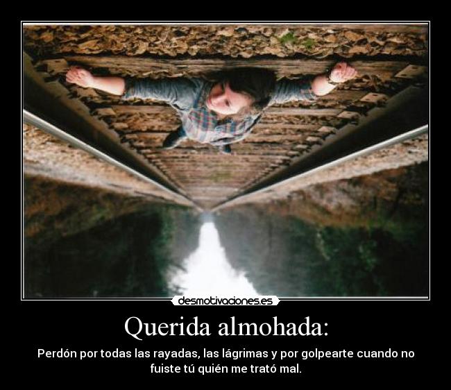 Querida almohada: - Perdón por todas las rayadas, las lágrimas y por golpearte cuando no
fuiste tú quién me trató mal.