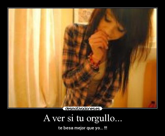 carteles ver orgullo desmotivaciones