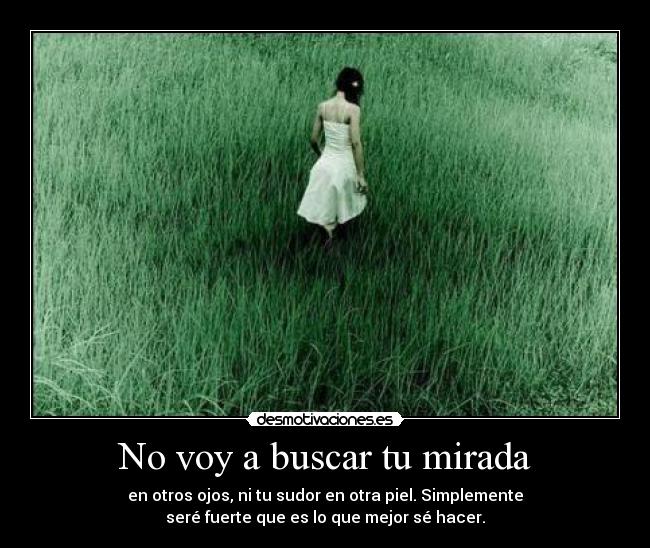 No voy a buscar tu mirada - 