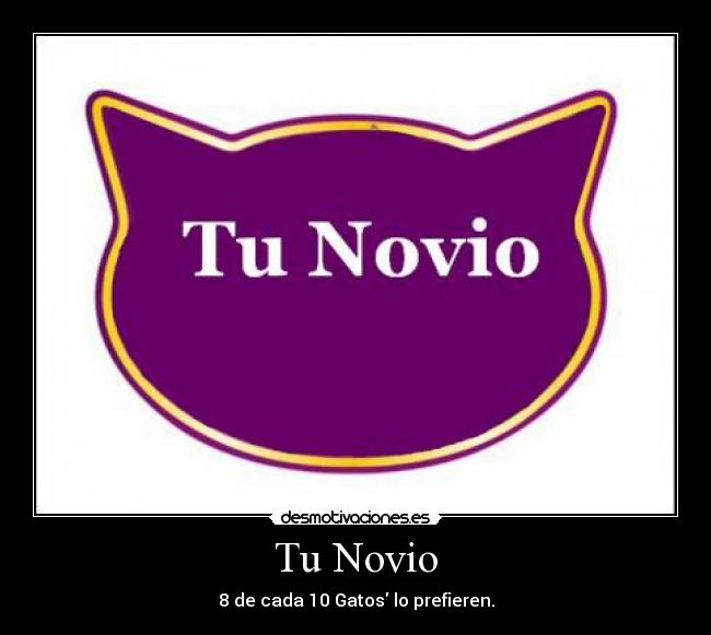 carteles cada gatos prefieren novio desmotivaciones