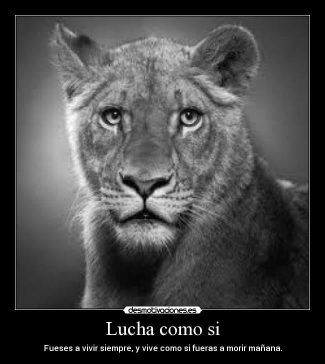 Lucha como si - Fueses a vivir siempre, y vive como si fueras a morir mañana.