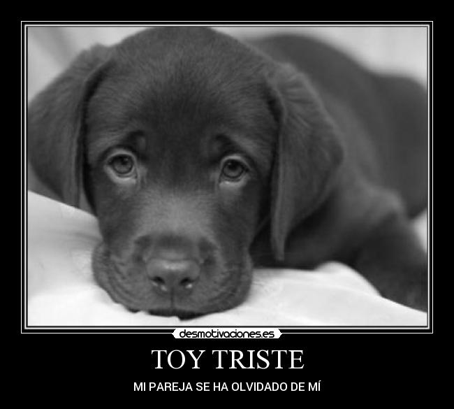 carteles triste desmotivaciones