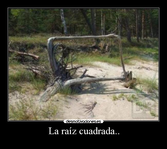 carteles cosas vida desmotivaciones