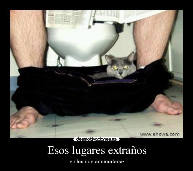 Esos lugares extraños - en los que acomodarse