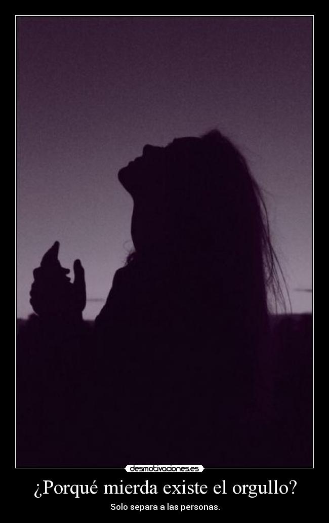 ¿Porqué mierda existe el orgullo? - Solo separa a las personas.