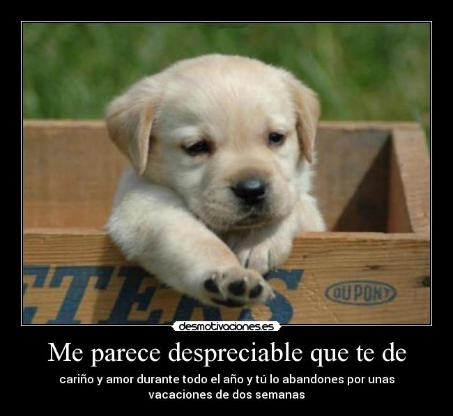 Me parece despreciable que te de - 