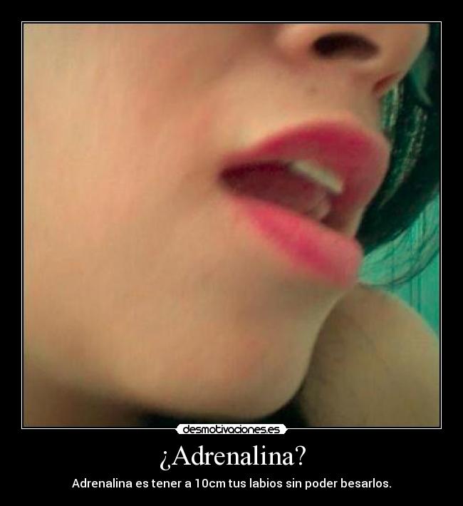 ¿Adrenalina? - 