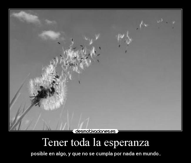 Tener toda la esperanza -