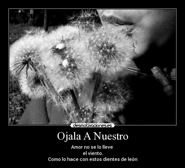 carteles rii desmotivaciones