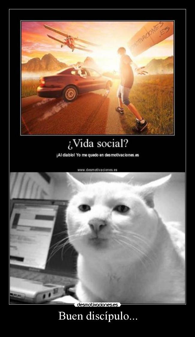 Buen discípulo... - 