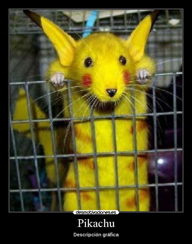 Pikachu - Descripción gráfica