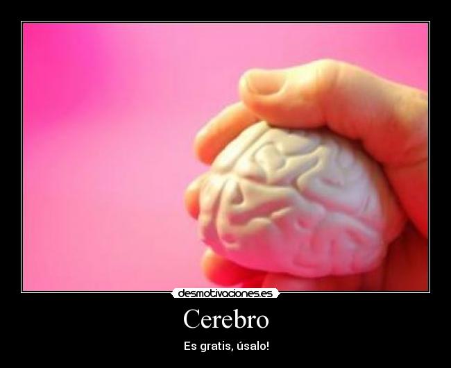 Cerebro - 