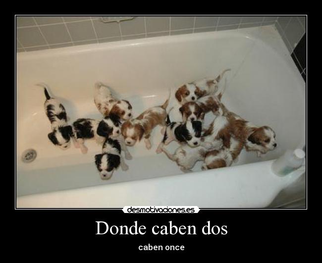 Donde caben dos - caben once