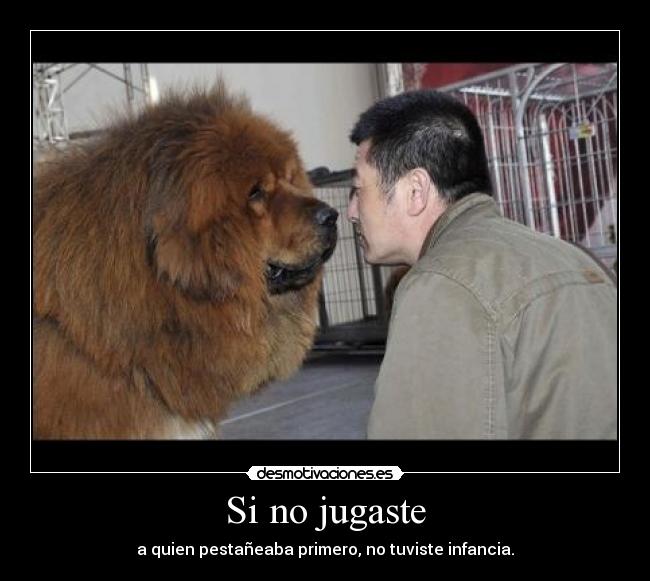 carteles jugaste desmotivaciones