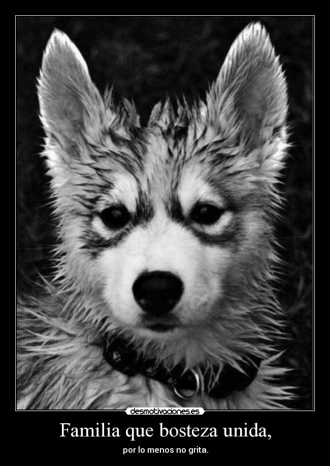 Familia que bosteza unida, -