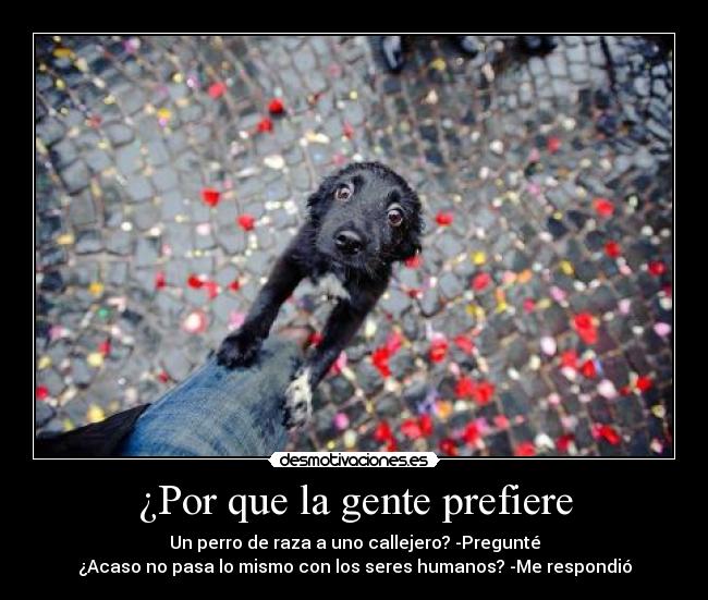 ¿Por que la gente prefiere -